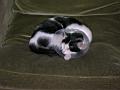 dscn1119.jpg