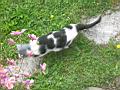 dscn1120.jpg