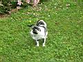 dscn1123.jpg