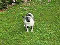 dscn1124.jpg