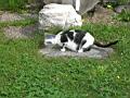 dscn1125.jpg