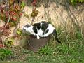 dscn1126.jpg