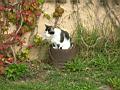 dscn1127.jpg